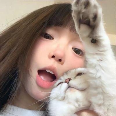 追夫四人行